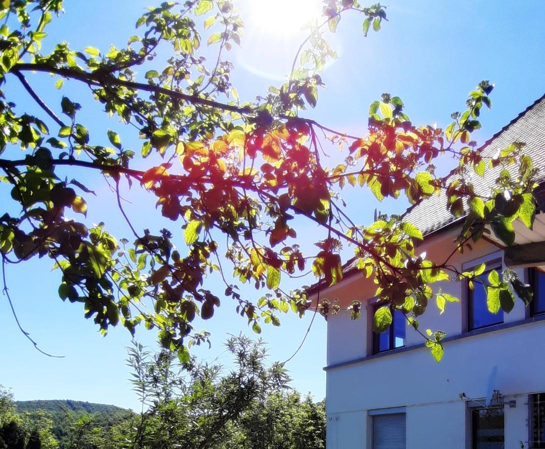Ferienwohnung Albstadt Panorama Exterior foto